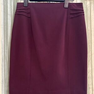 NWT Express Skirt, Size 8